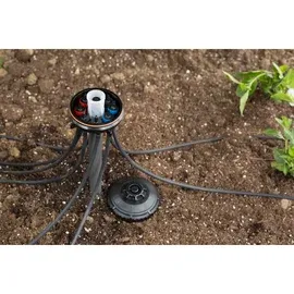 Xeri-Bird - Open.webp