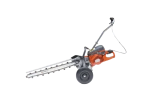 CART-4-1-300x200.webp
