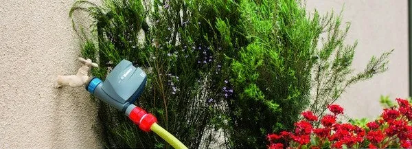 téléchargement (10).webp