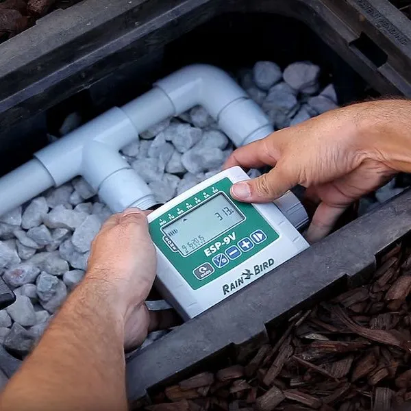 téléchargement (11).webp